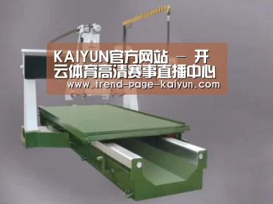 产品名称十