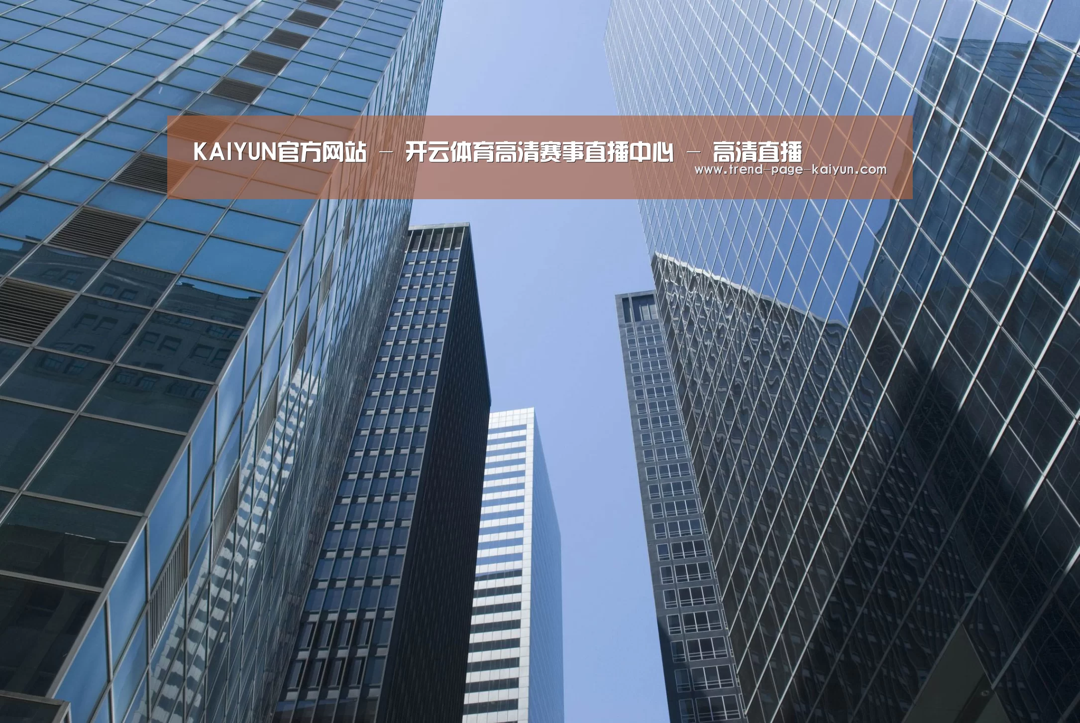 开云体育公司简介 