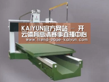 产品名称十