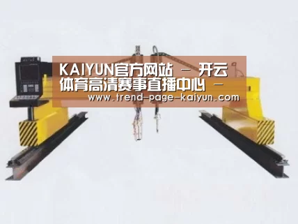 产品名称十九