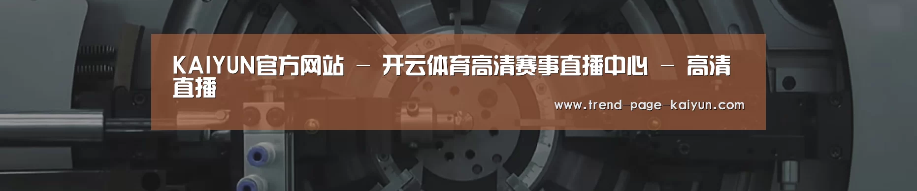 某某机械公司