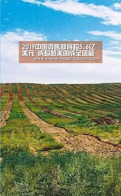 2019中国零售额将超5.6亿美元 或超越美国成全球最大零售市场|开云体育