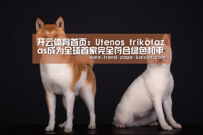 开云体育