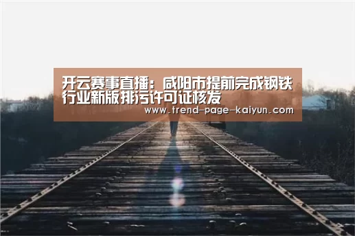 开云赛事直播:咸阳市提前完成钢铁行业新版排污许可证核发(图3) KAIYUN入口