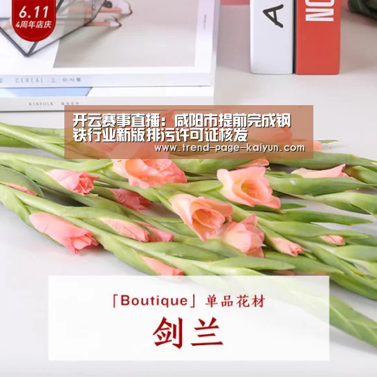 开云赛事直播:咸阳市提前完成钢铁行业新版排污许可证核发(图4) 开云体育首页