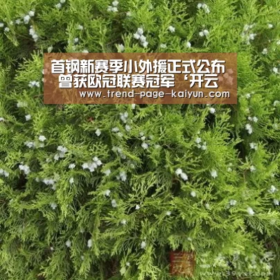 首钢新赛季小外援正式公布 曾获欧冠联赛冠军‘开云热门赛事’(图2) 开云体育首页