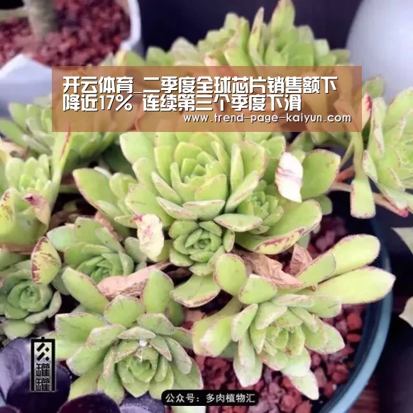 开云体育_二季度全球芯片销售额下降近17% 连续第三个季度下滑